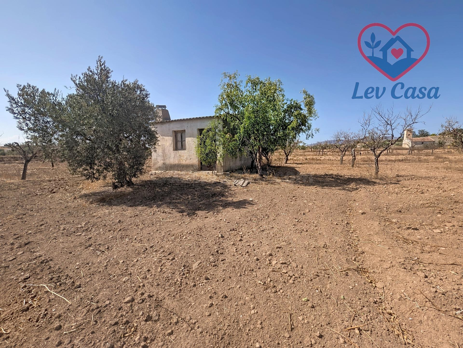 Finca rústica con casa de aperos y más de 100 almendros en Fuente Álamo