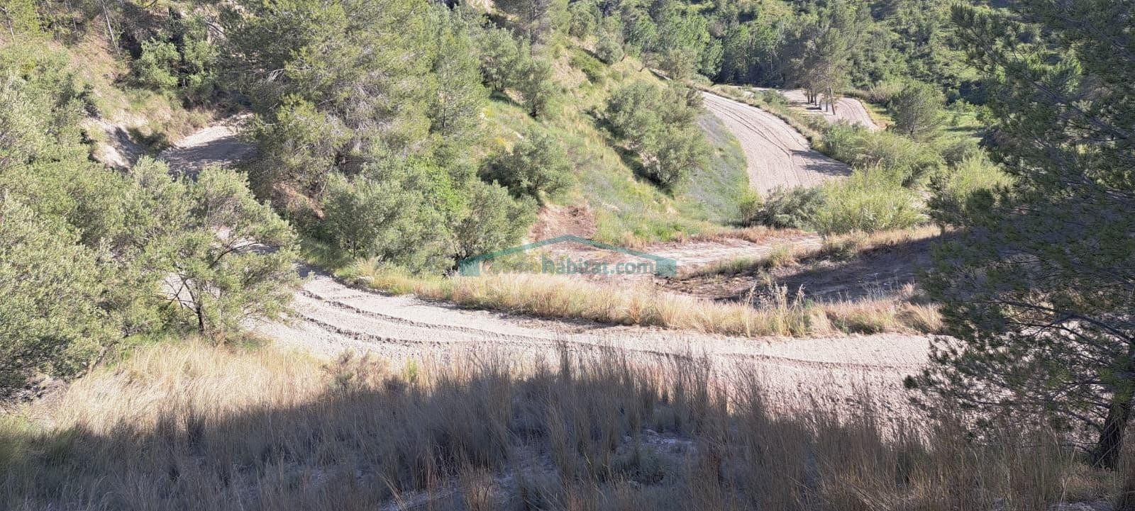 TERRENO RÚSTICO DE 23.055 m2 EN COCENTAINA - foto 2