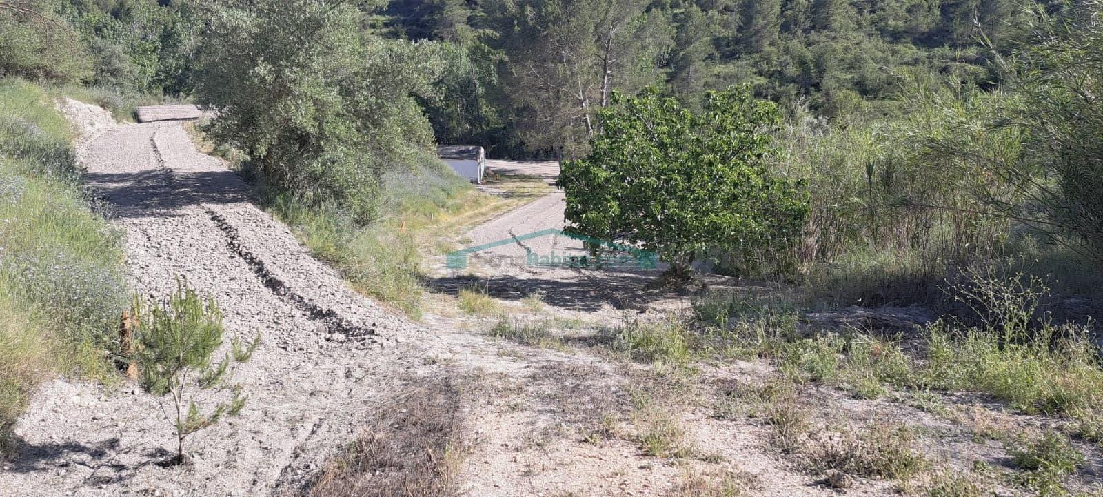TERRENO RÚSTICO DE 23.055 m2 EN COCENTAINA - foto 3