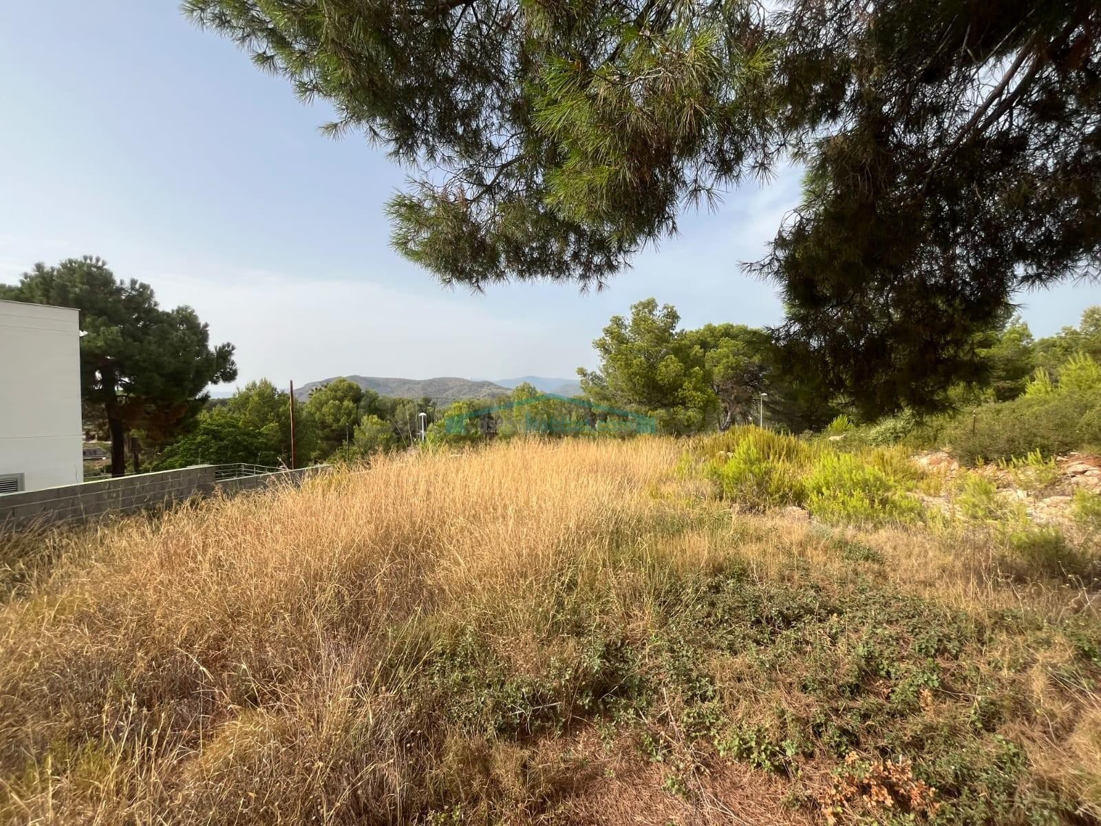 Parcela urbana de 454 m2 en Urbanización Montes de Palancia  - foto 2