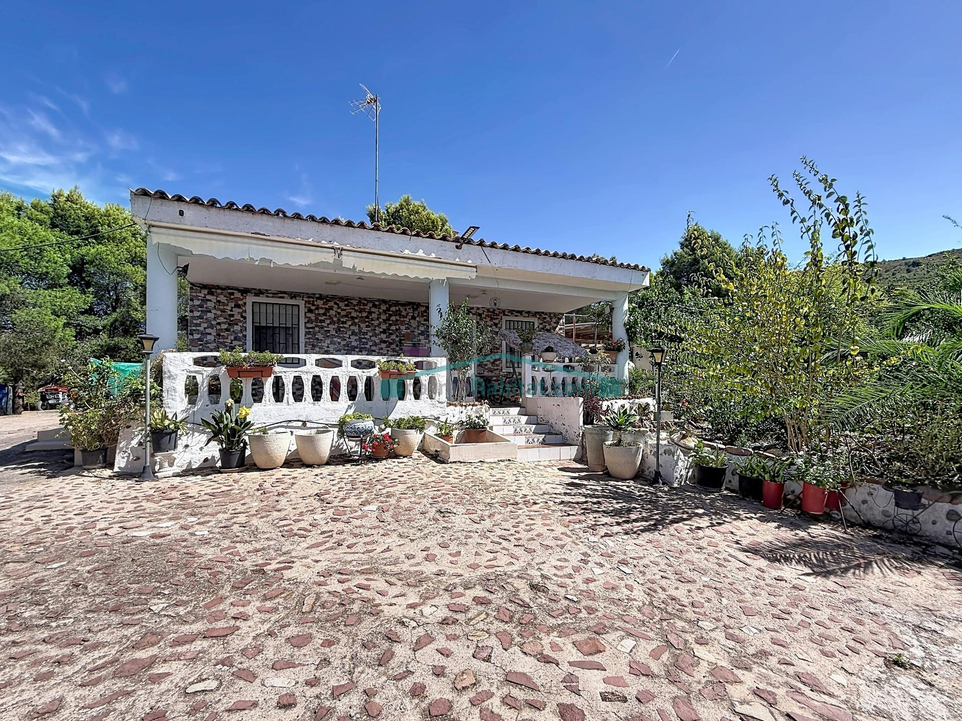 Finca rústica agraria con vivienda, piscina y 3.661 m2 en Sagunto