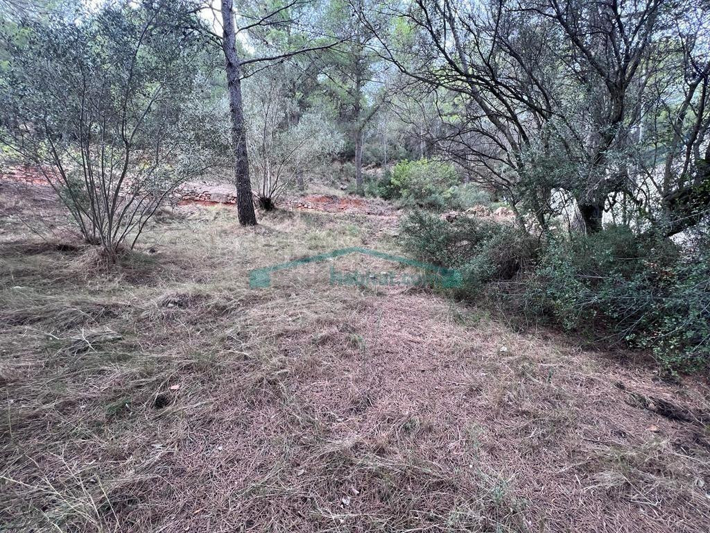 Oportunidad en Serra: parcela urbana de 827 m2 en un entorno natural único