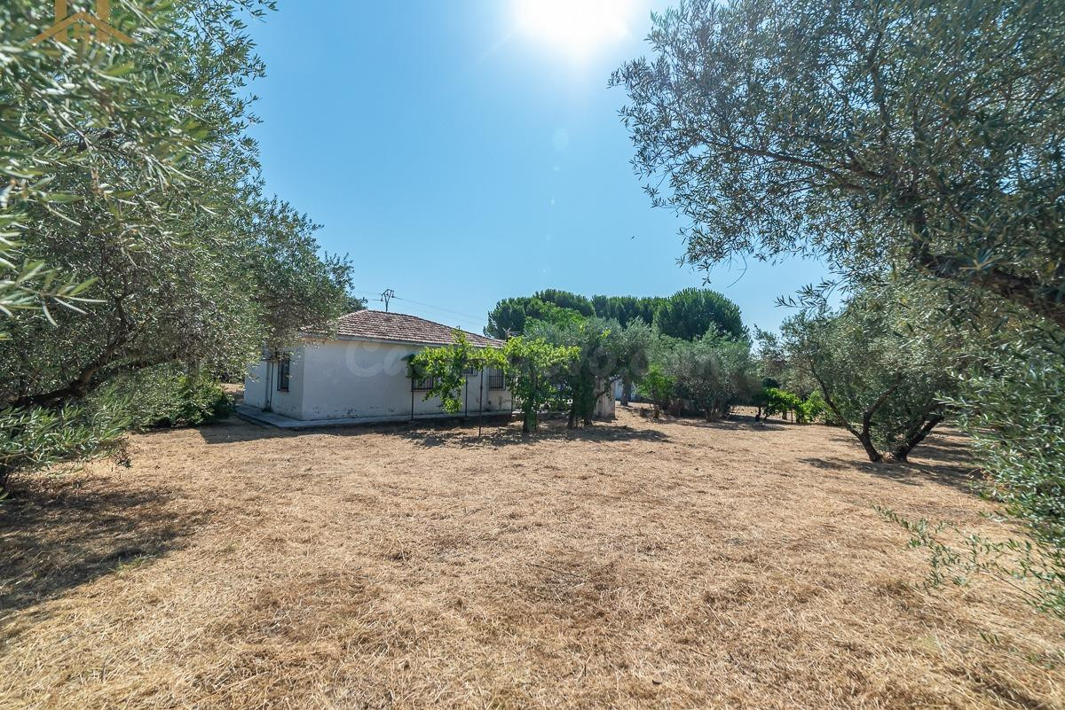 Chalet independiente en venta en Aldea del Fresno, Picadas - foto 4