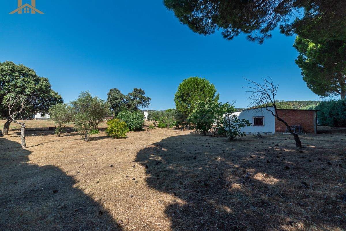 Chalet independiente en venta en Aldea del Fresno, Picadas - foto 5