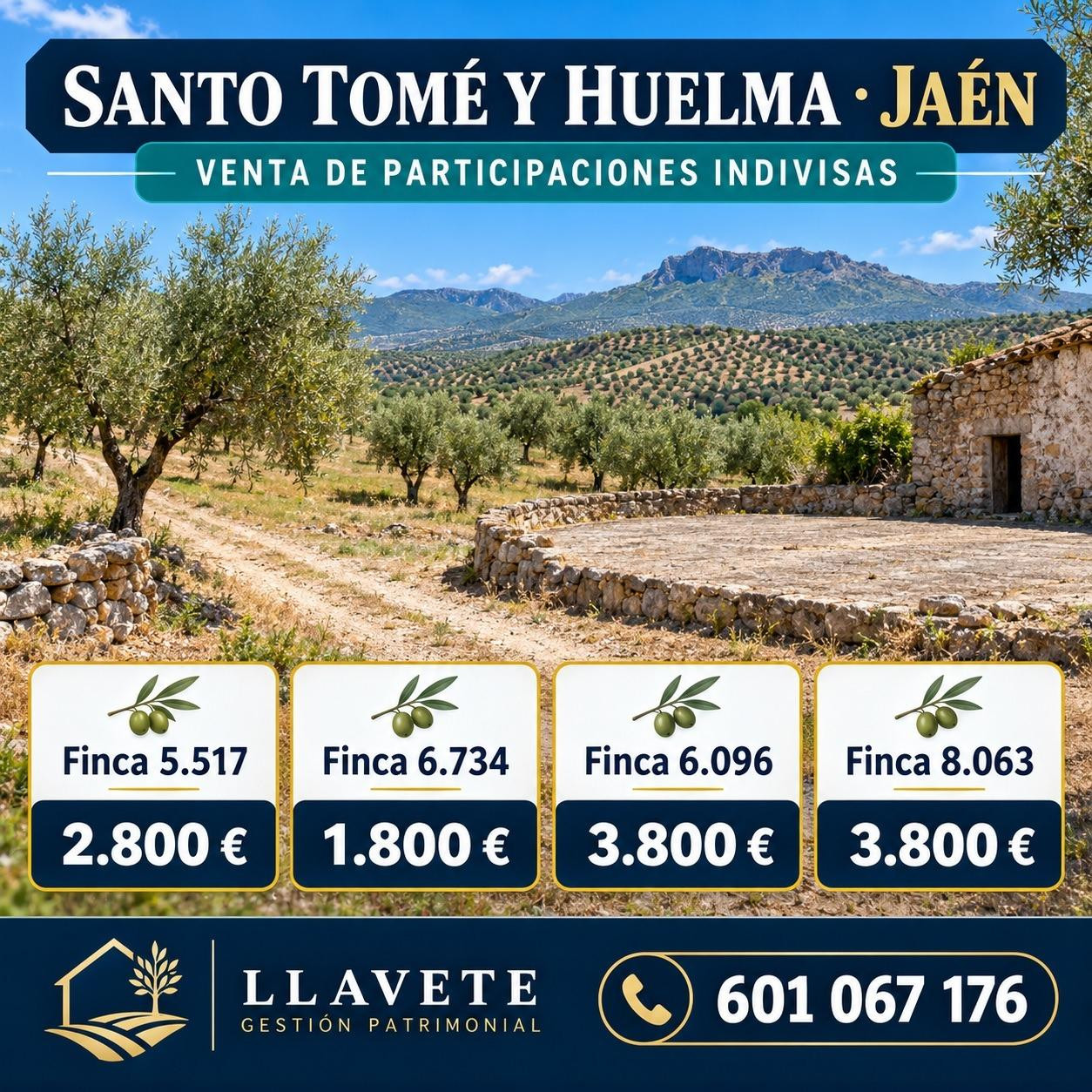 # CARTERA DE FINCAS EN JAÉN — VENTA INDIVIDUAL O CONJUNTA