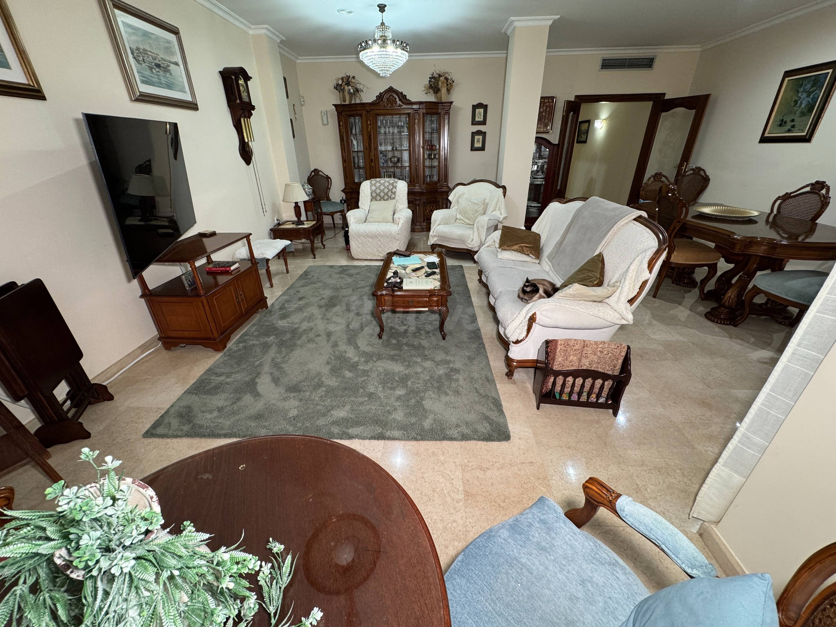 Se vende espectacular piso en pleno centro de Torrevieja