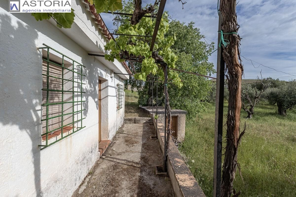 Finca rústica con casa de aperos y espectaculares vistas en Monachil