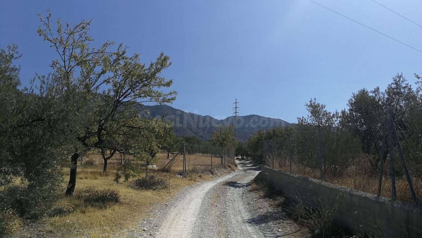 Solar en venta - Padul