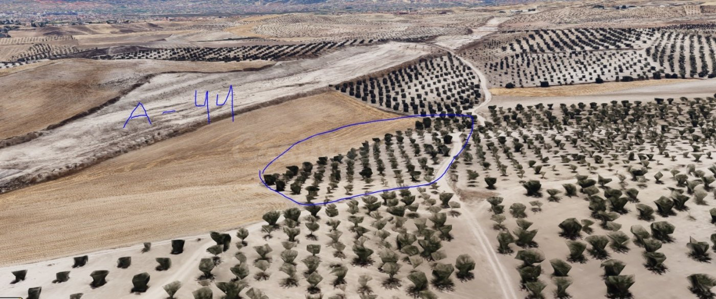 Terreno rural 1m² en venta - Las Gabias