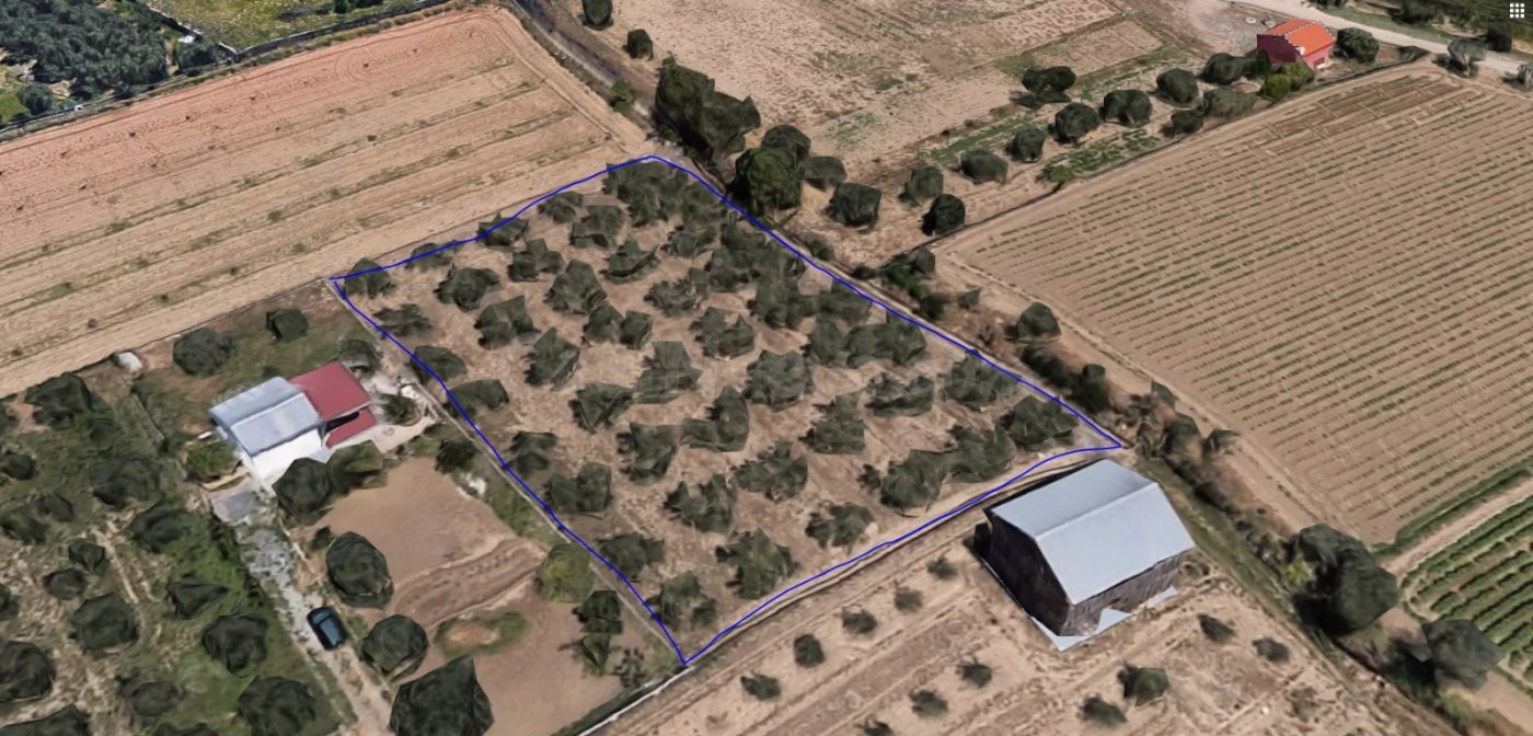 Finca rústica 1m² en venta - Otura