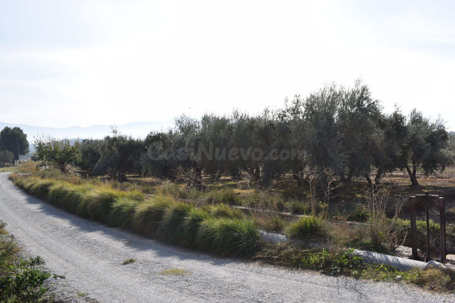 Terreno rural en venta - Urbanización viña del rey