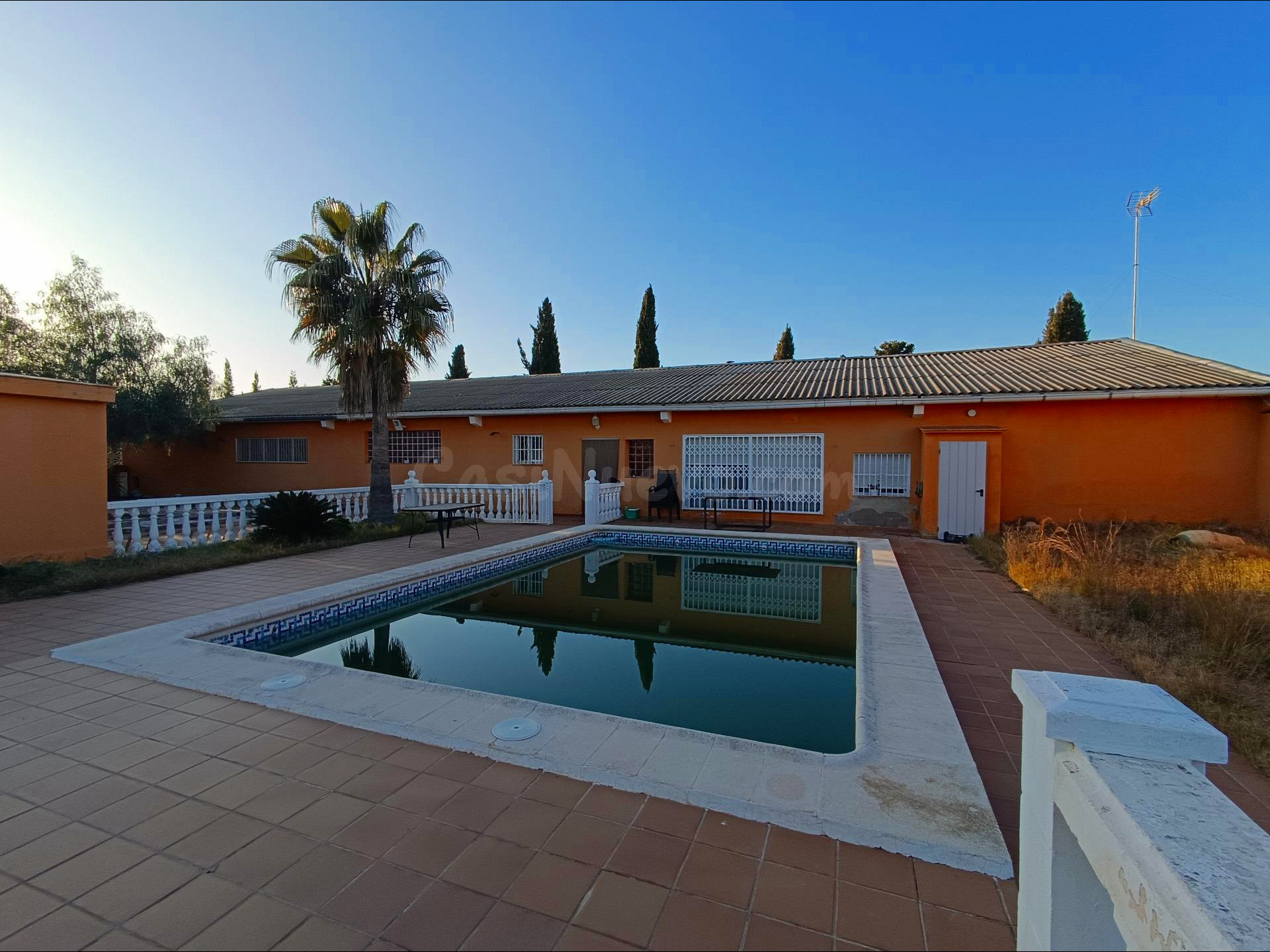 FINCA RUSTICA CON NAVE Y 2 CASAS - foto 3