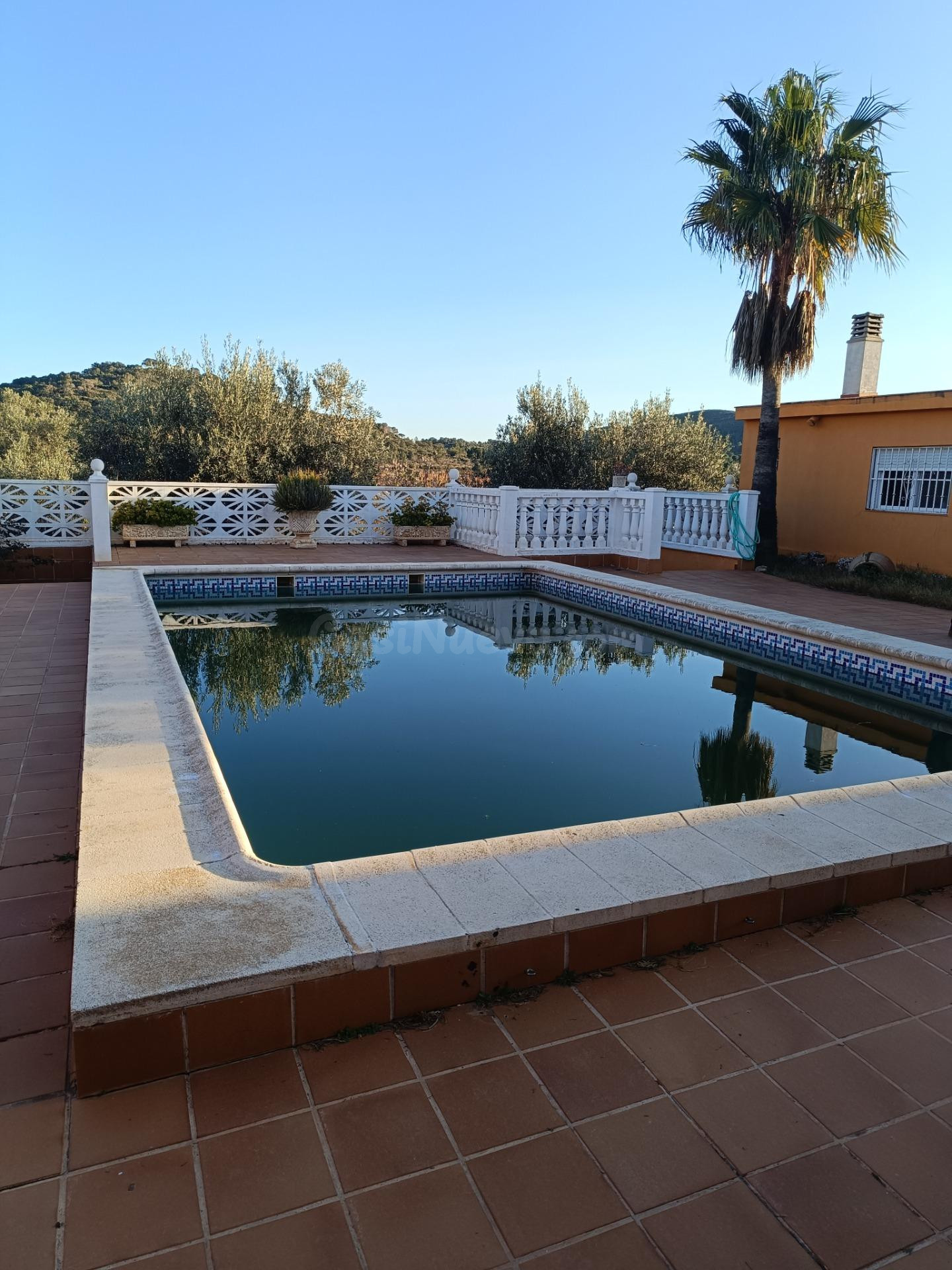 FINCA RUSTICA CON NAVE Y 2 CASAS - foto 5