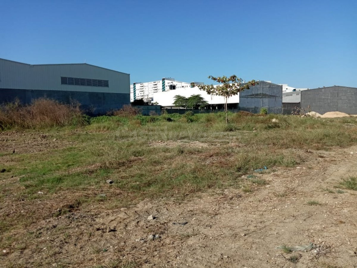 Venta de terreno en Barrio La Carolina - foto 5