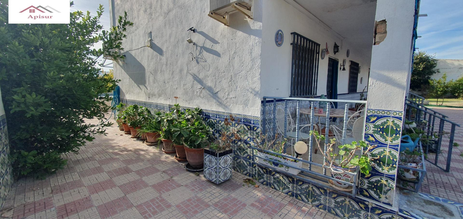 SE VENDE CASA ADOSADA EN PAGO POZUELA "CAMINO DE LA NORIA" - foto 5