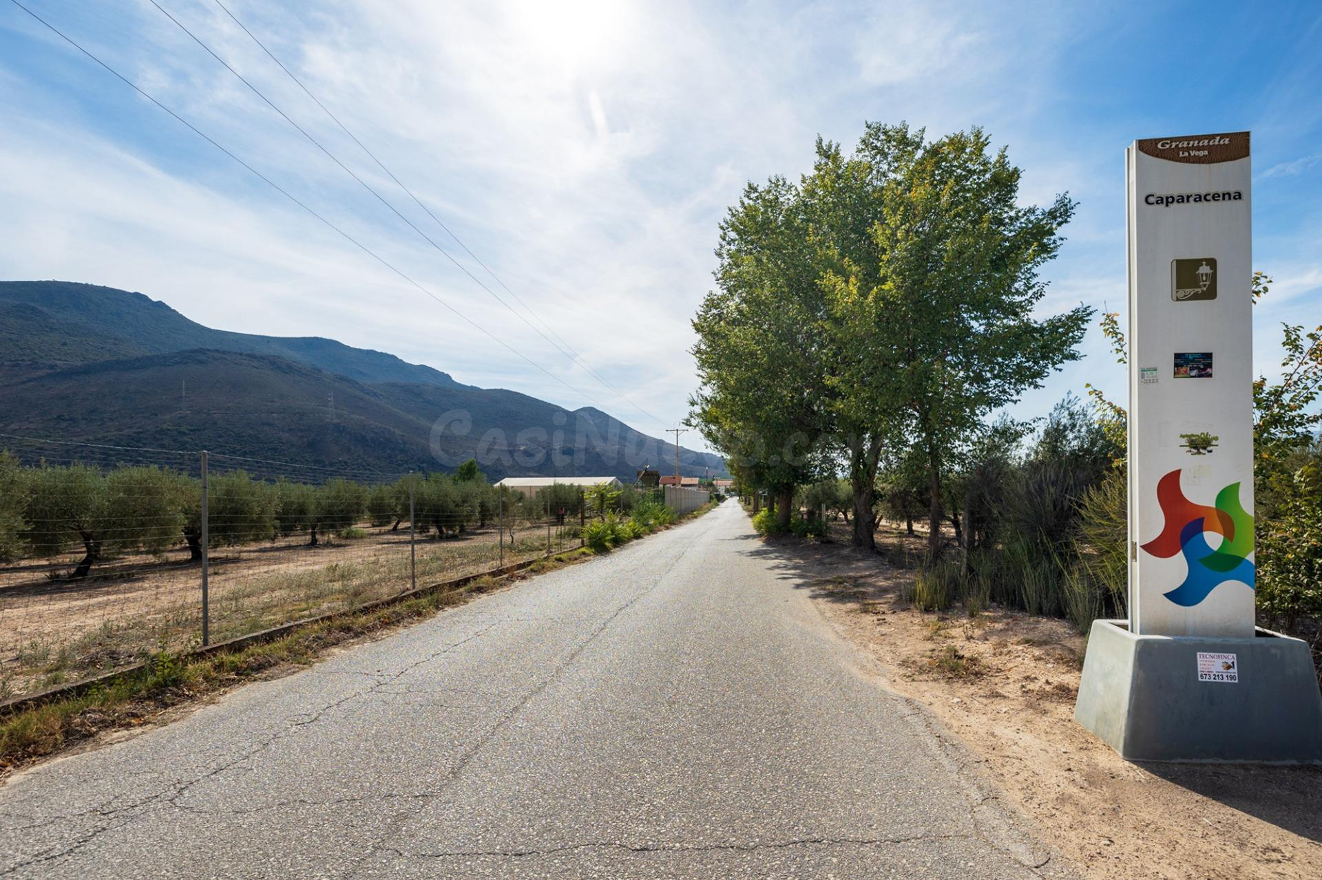 FINCA RUSTICA EN CAPARACENA