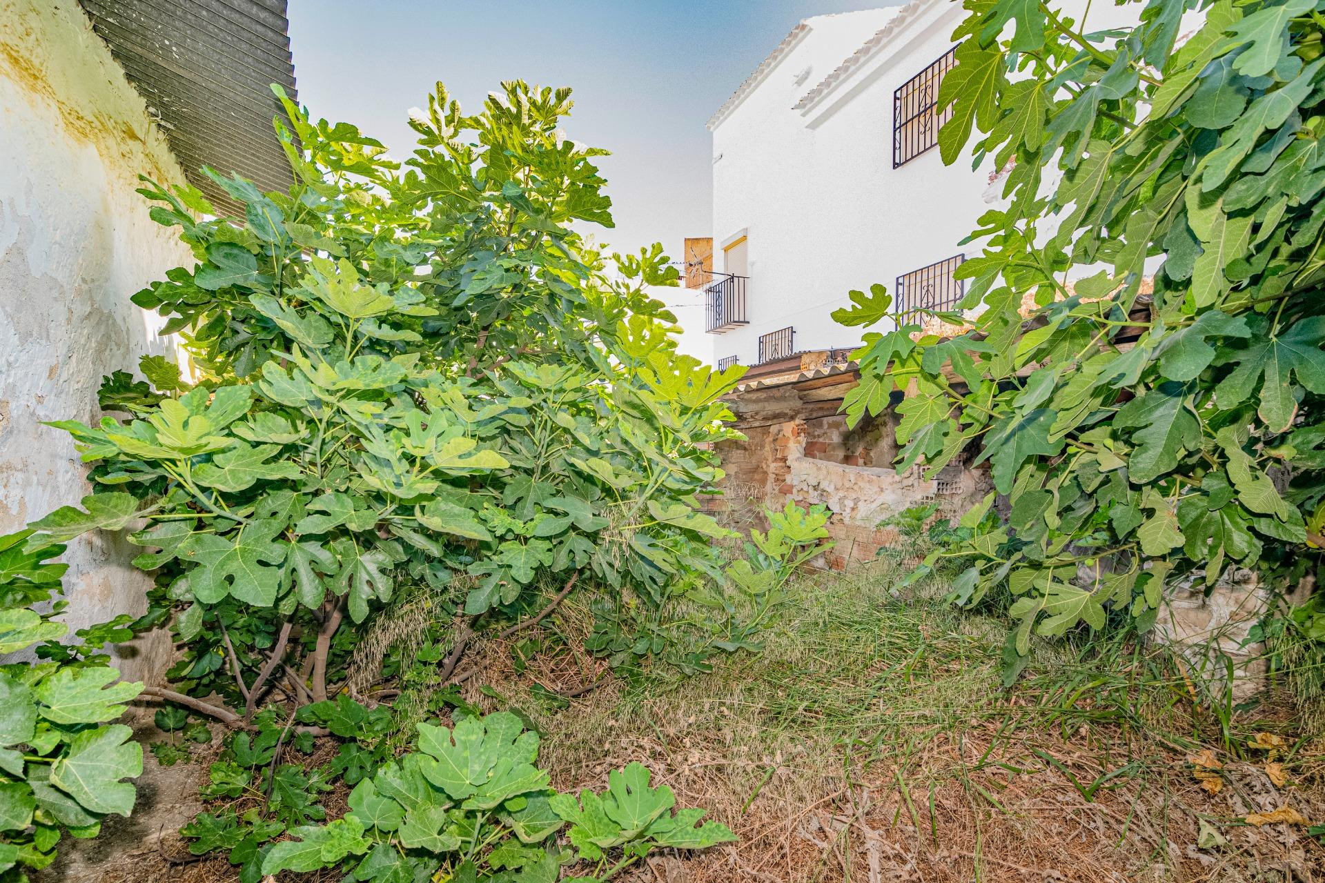 Casa rústica en Ventorros de Balerma