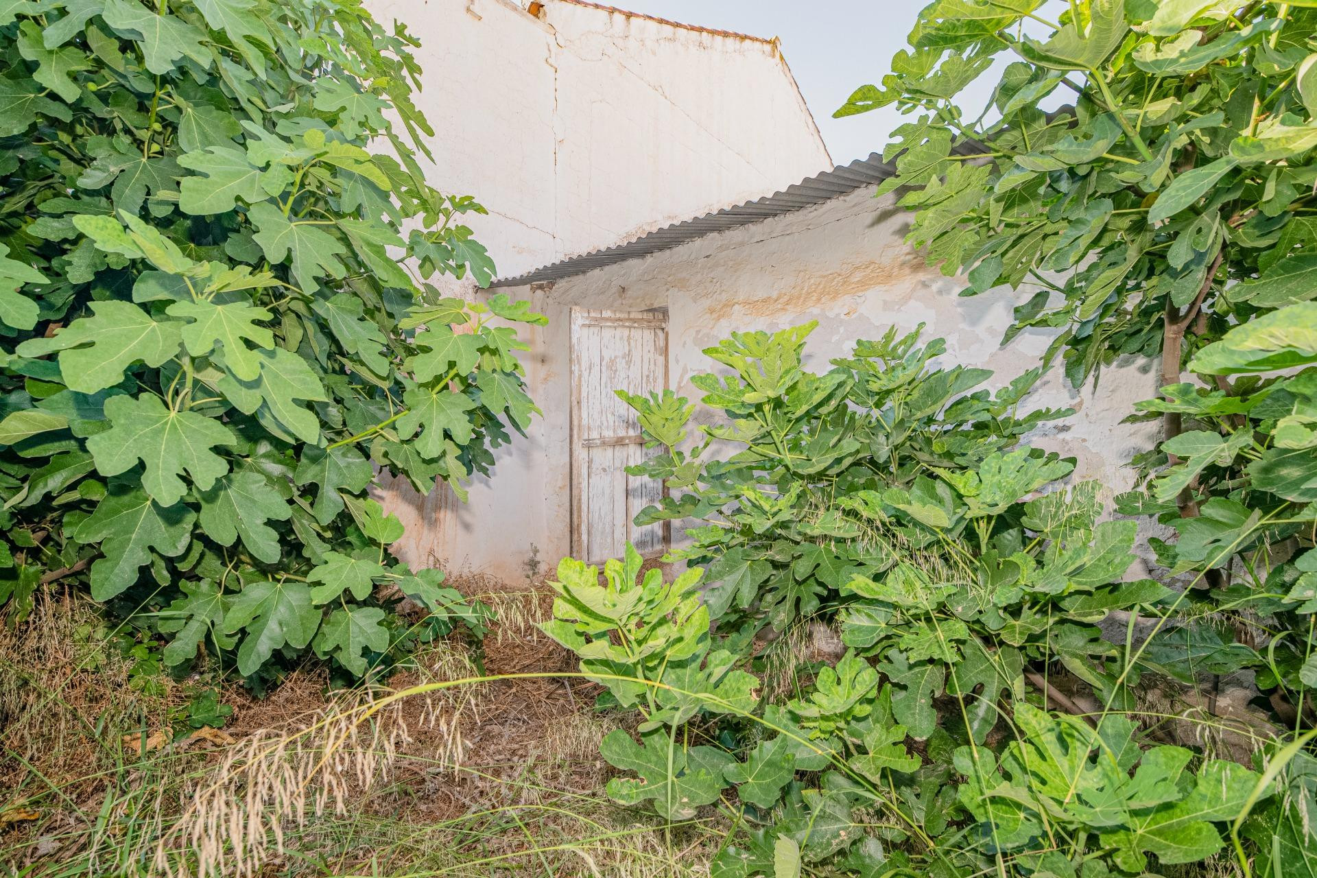 Casa rústica en Ventorros de Balerma - foto 2