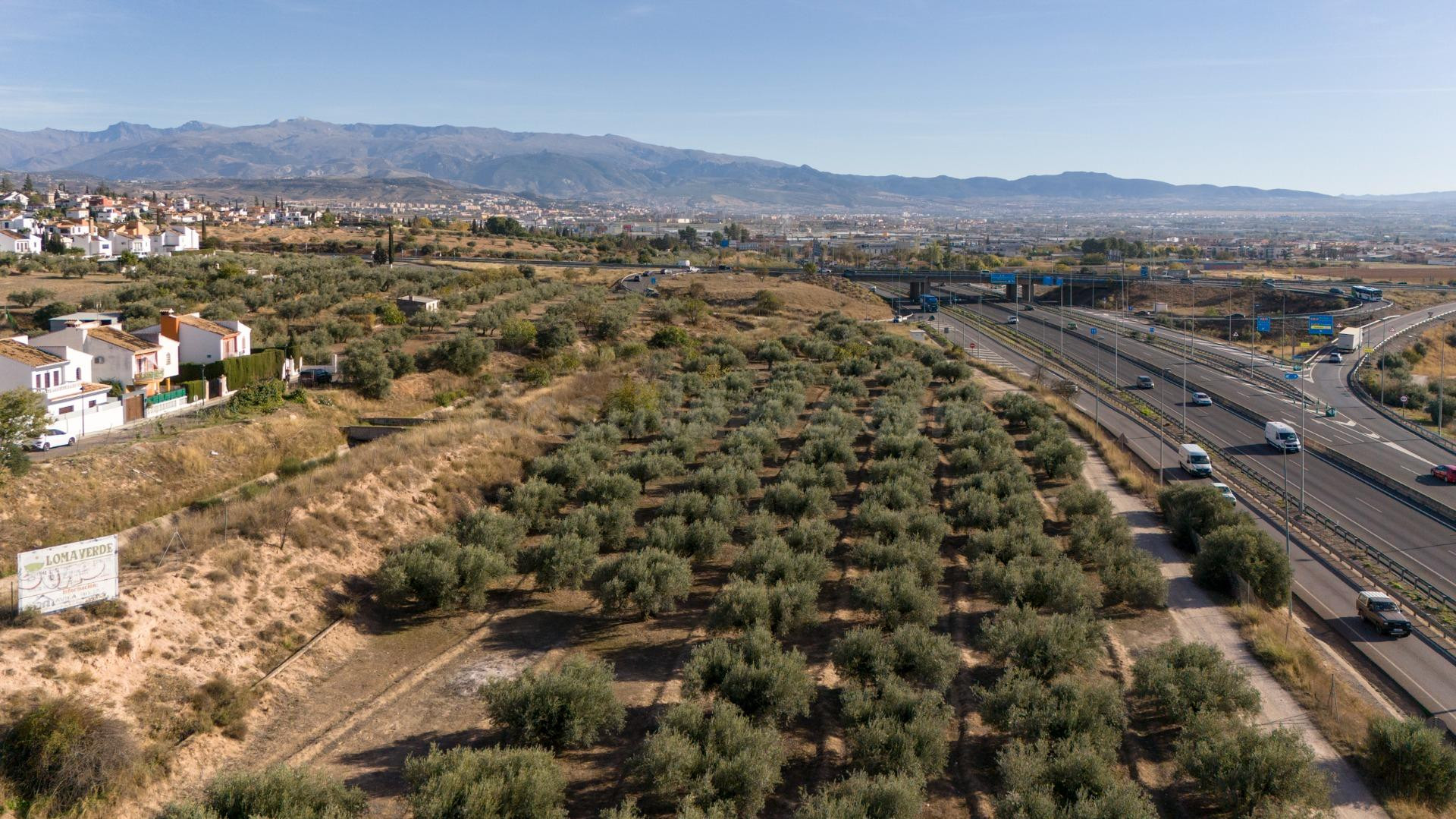 Oportunidad Única en Loma Verde: Suelo Urbano para Vivienda Plurifamiliar