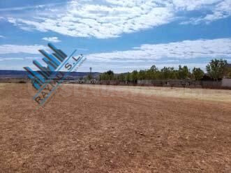 PARTICIPACIÓN 50% TERRENO RÚSTICO – MECO (MADRID)