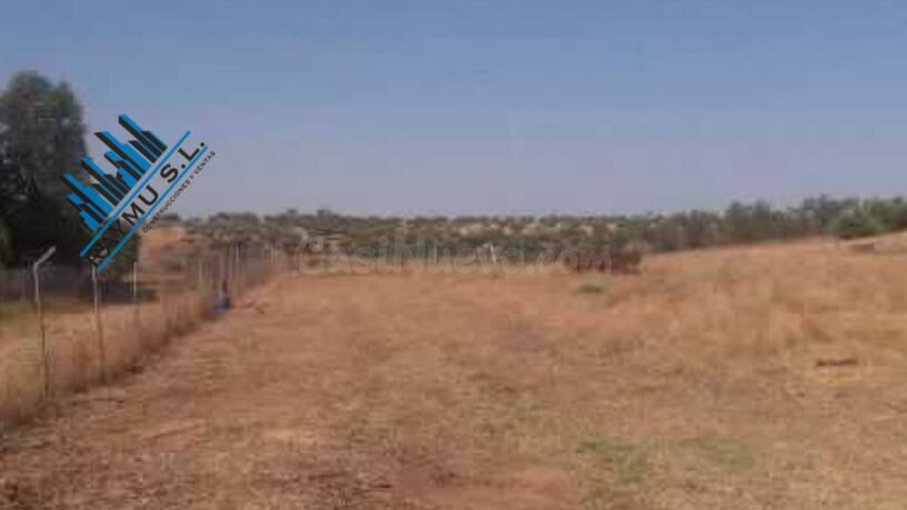 ️ LOTE DE 14 FINCAS REGISTRALES EN VILLANUEVA DE LA TORRE – SECTORES R-5 Y R-7