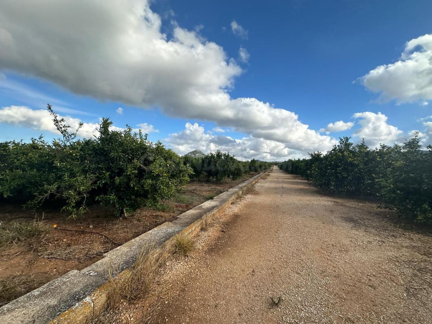 Terreno rural en venta - POLIGONO