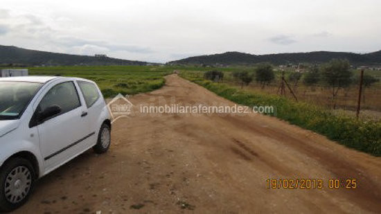 Parcela de 2000 m2 en Sierra de Fuentes - foto 3