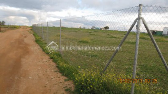 Parcela de 2000 m2 en Sierra de Fuentes - foto 4
