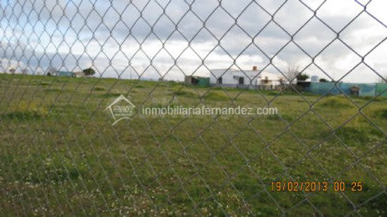 Parcela de 2000 m2 en Sierra de Fuentes - foto 5