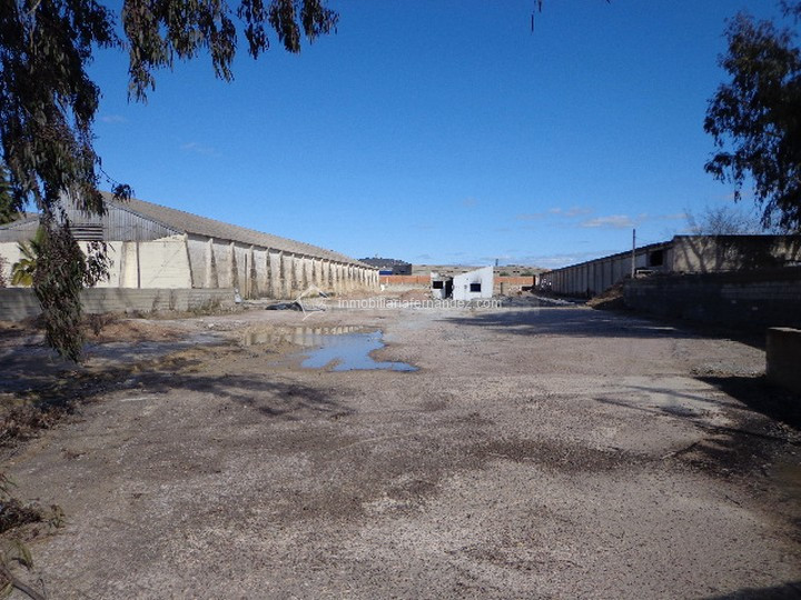 Solar 4100m² en alquiler - ALDEA MORET - foto 2