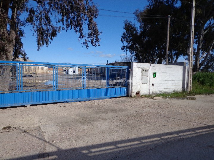 Solar 4100m² en alquiler - ALDEA MORET - foto 3