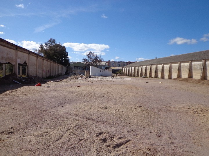 Solar 4100m² en alquiler - ALDEA MORET - foto 4
