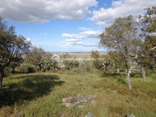 Preciosa parcela de 4500m2