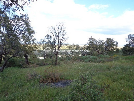Preciosa parcela de 4500m2 - foto 2