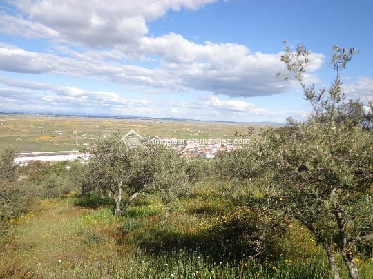 Preciosa parcela de 4500m2 - foto 5