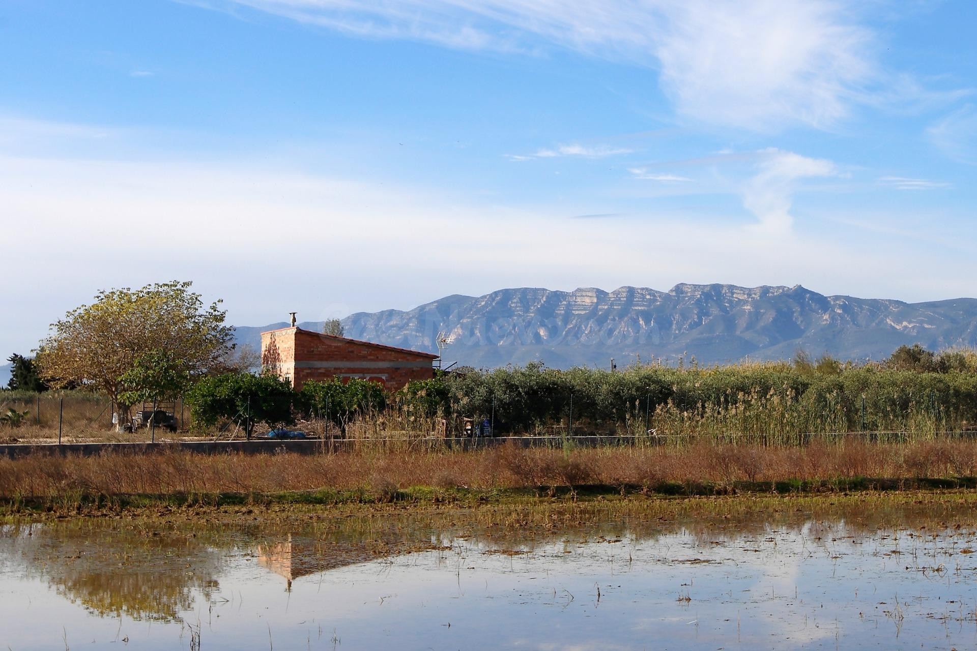 FINCA RUSTICA EN VENTA
