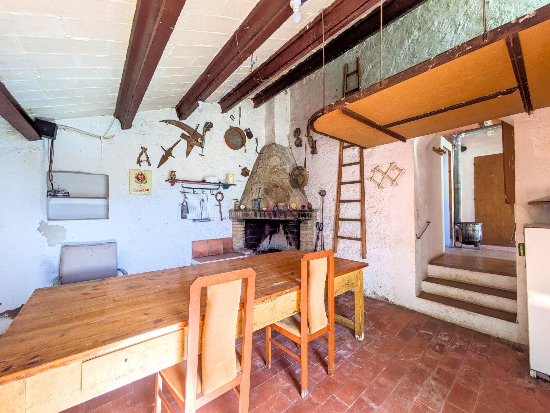 FINCA RÚSTICA CON OLIVOS Y CASA DE CAMPO EN MAS DE BARBERANS - foto 4