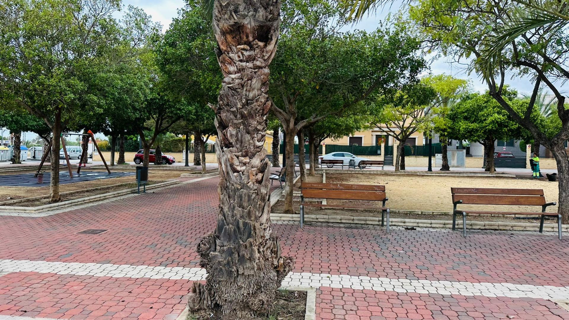 ¡Parcela Urbana en La Hoya! - foto 4