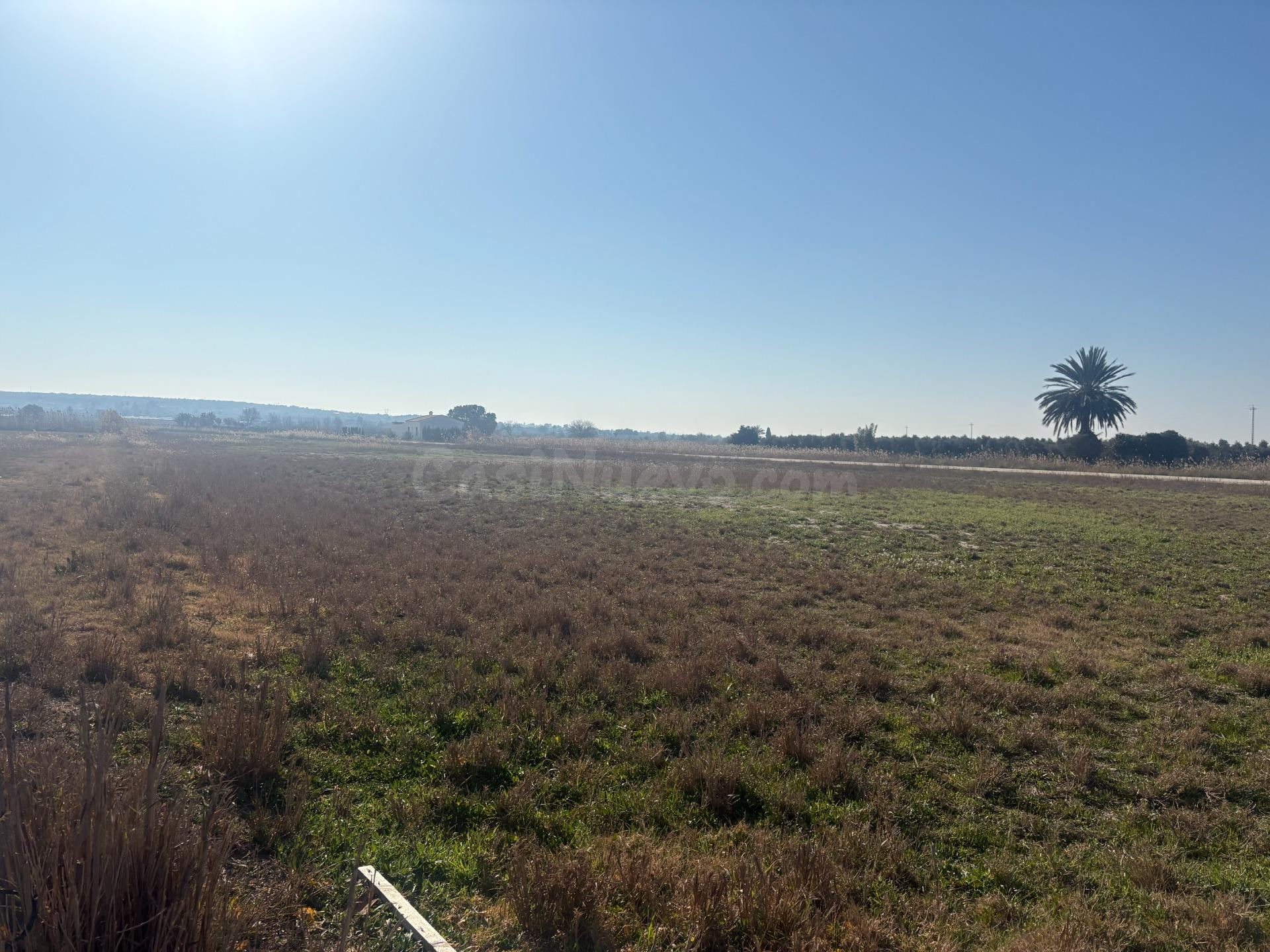 Terreno de 12000 metros en Daimés