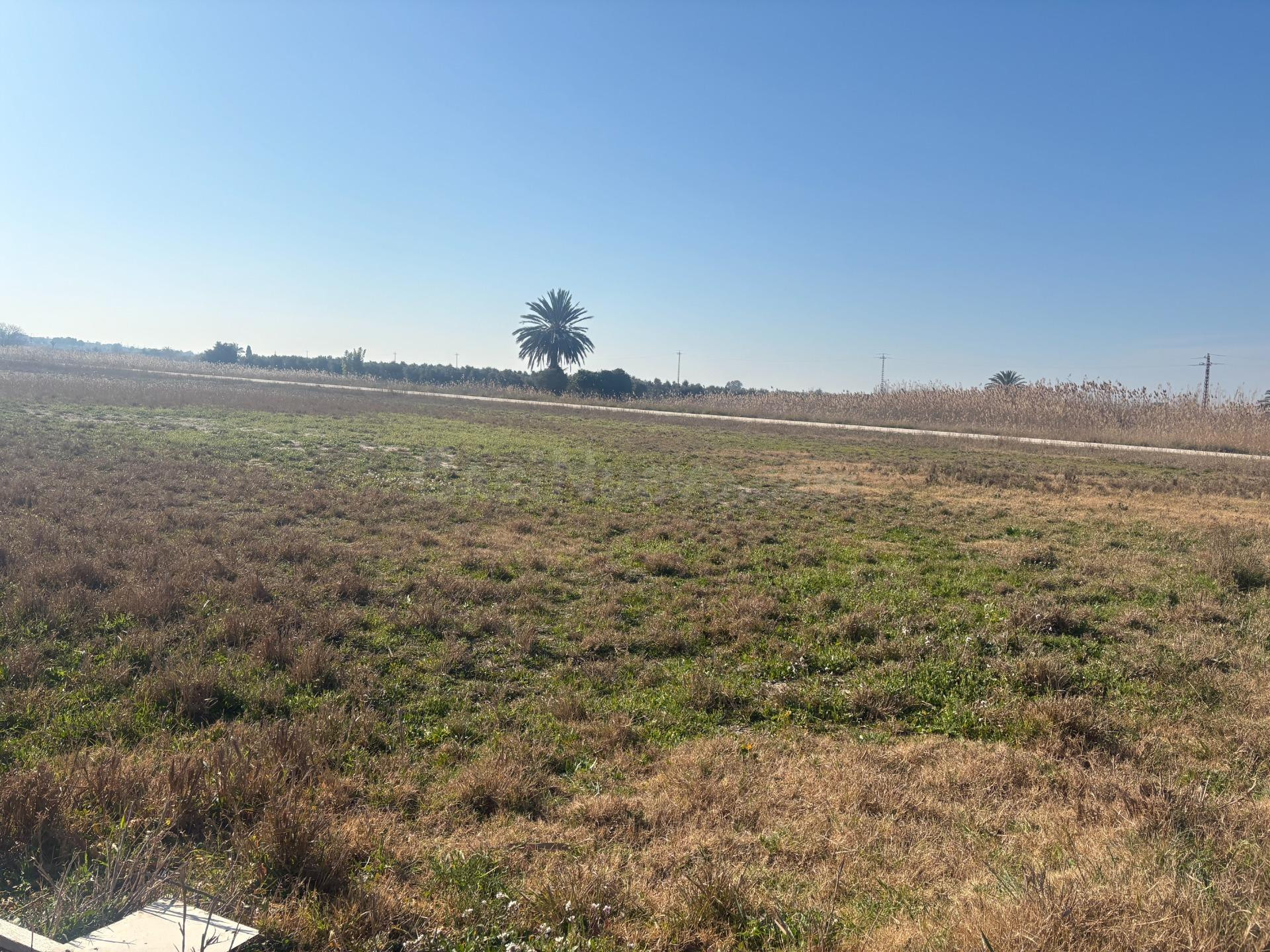 Terreno de 12000 metros en Daimés - foto 2