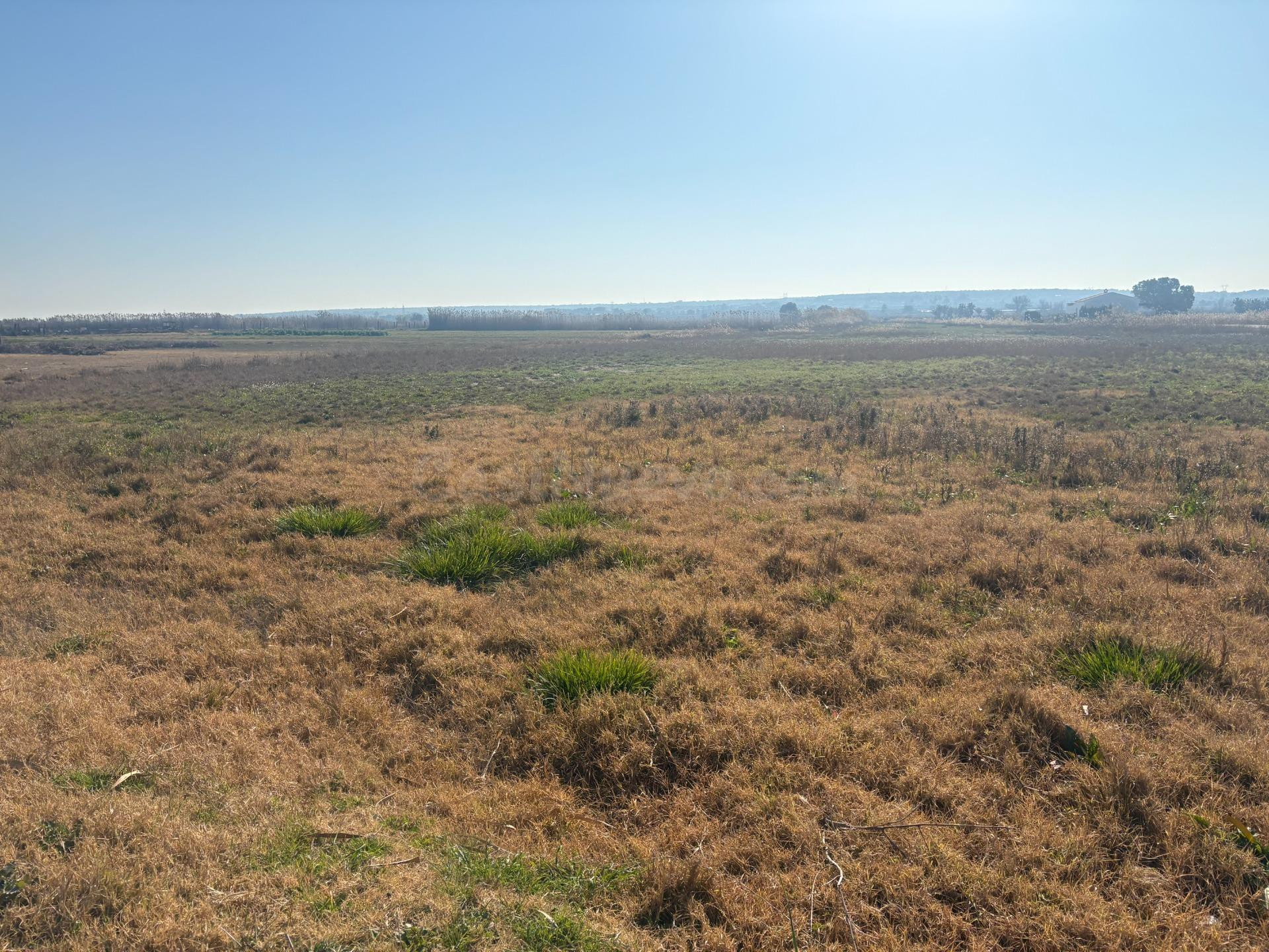 Terreno de 12000 metros en Daimés - foto 3