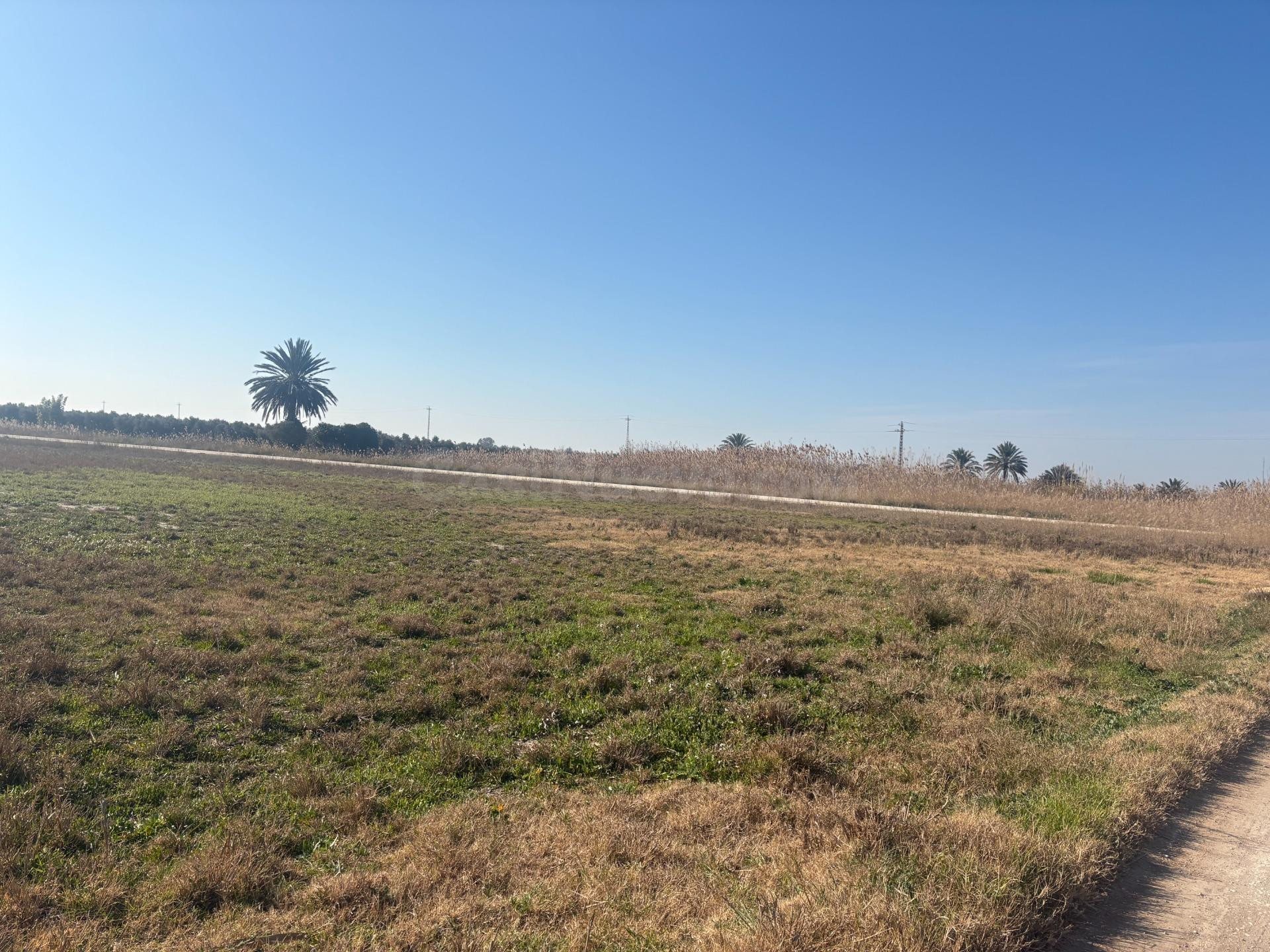 Terreno de 12000 metros en Daimés - foto 4