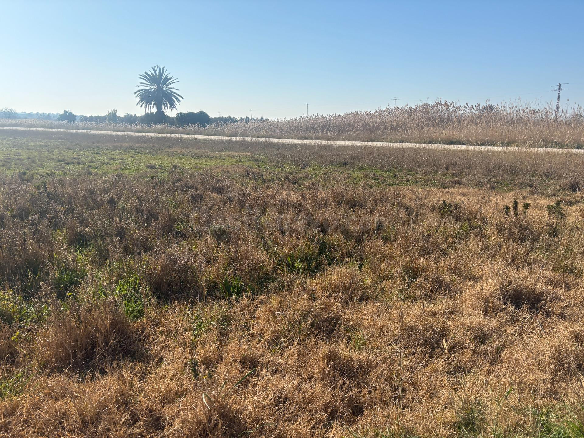 Terreno de 12000 metros en Daimés - foto 5