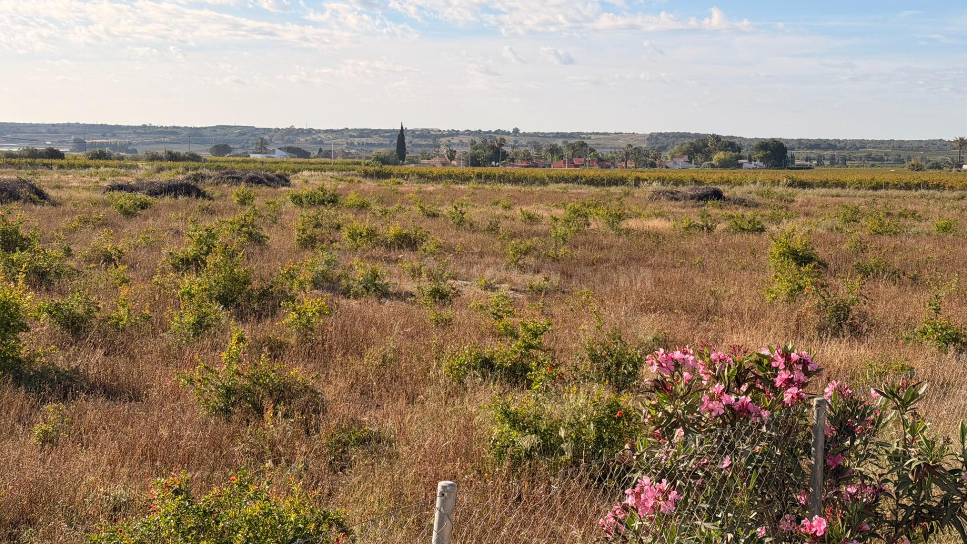 Oportunidad de Inversión, Terreno junto al núcleo urbano.