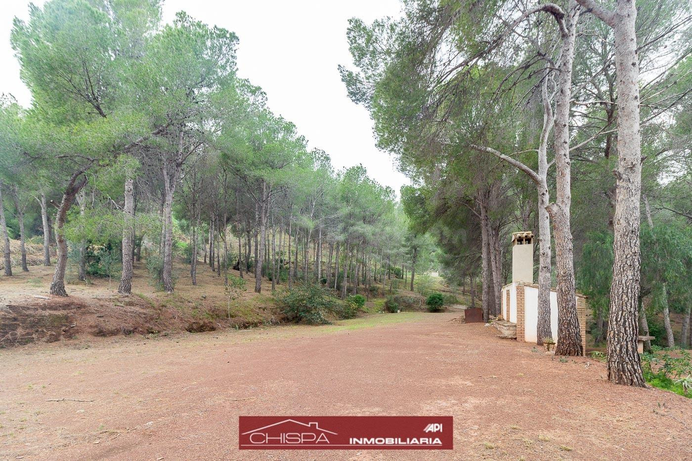 Espectacular villa en una de las mejores zonas de Nàquera - foto 5