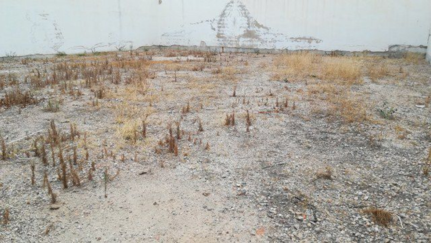 Parcela en venta - Alguazas