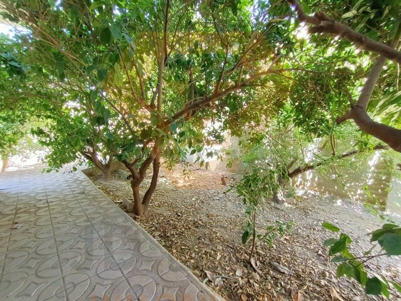 SE VENDE EXCELENTE CHALET EN LA HUERTA DE ARRIBA DE ALGUAZAS - foto 3