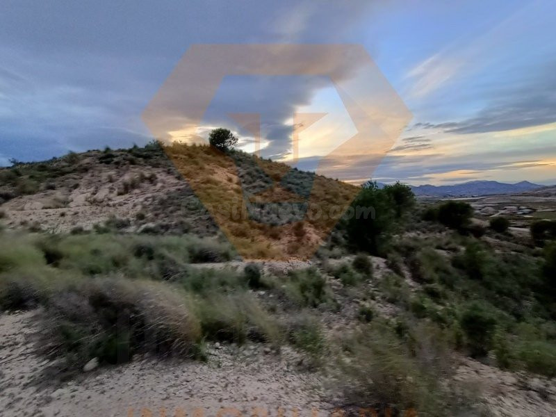 SE VENDE PARCELA EN MOLINA DE SEGURA