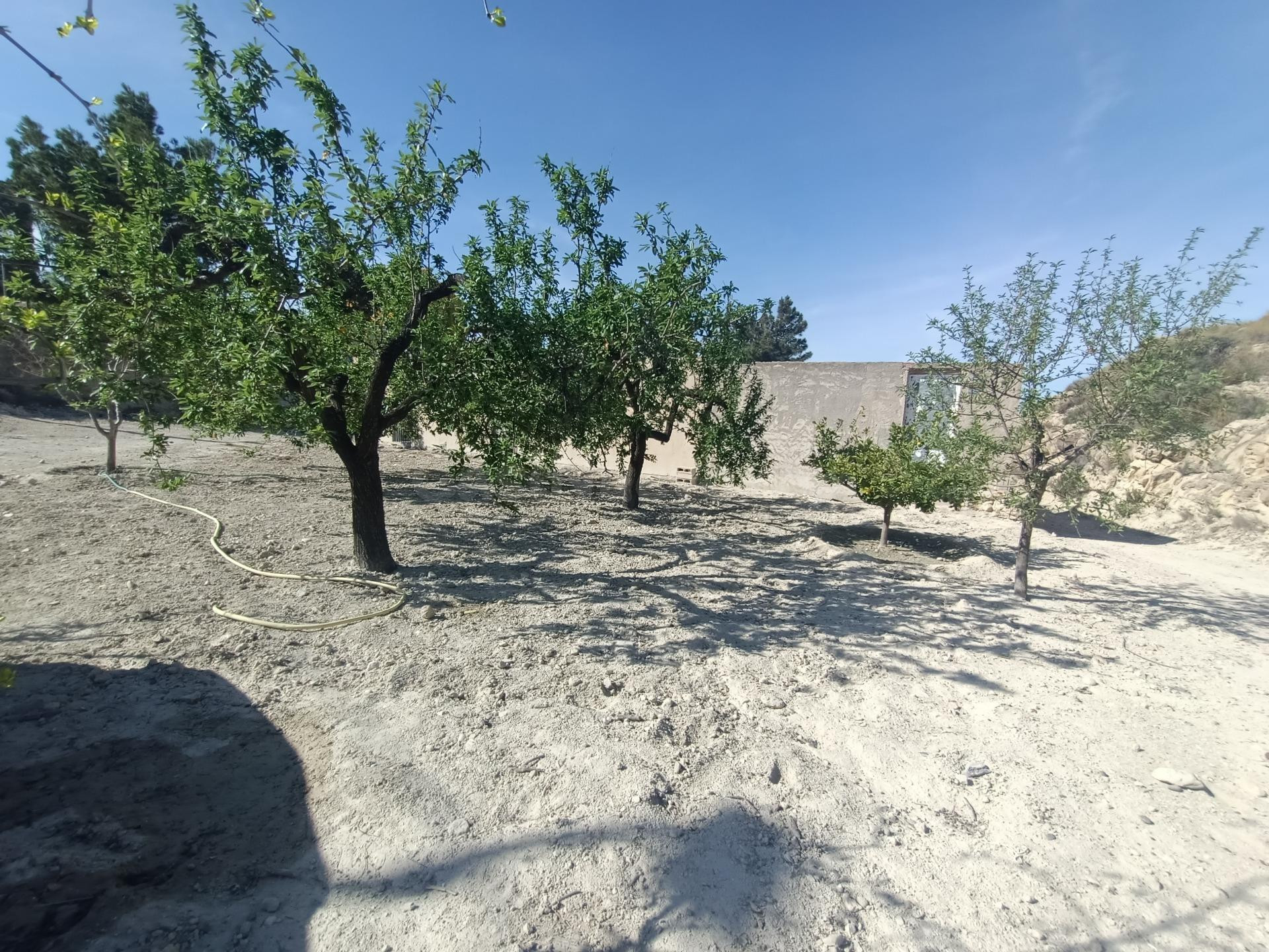 SE VENDE CASA CON PARCELA EN EL RELLANO DE MOLINA DE SEGURA