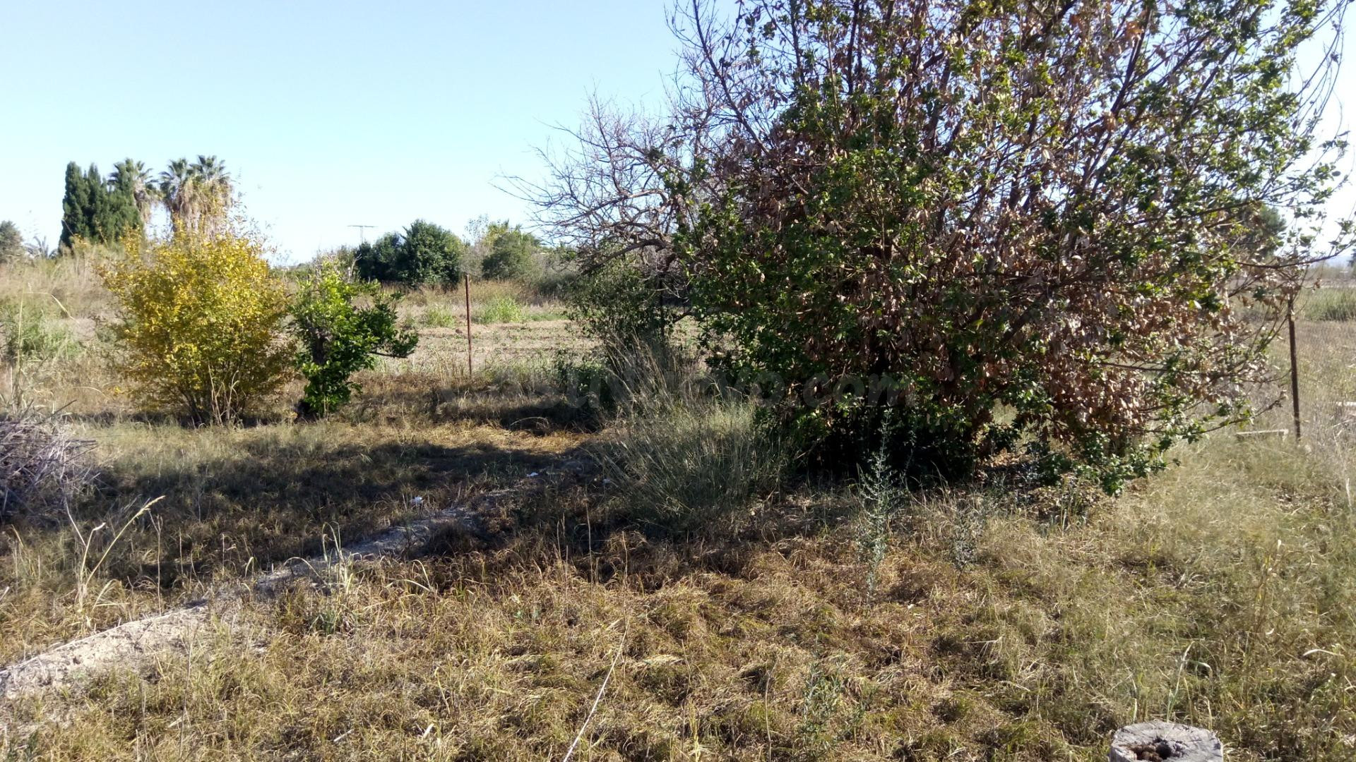 SE VENDE PARCELA RÚSTICA EN EL LLANO DE MOLINA